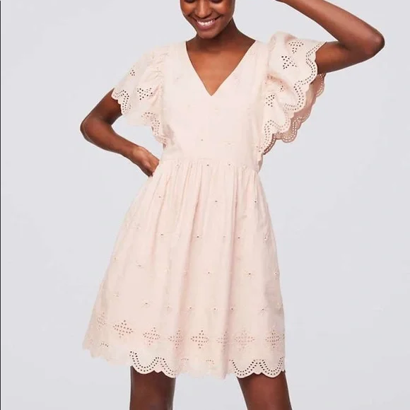 Loft Embroidered Eyelet Mini Dress in dusty pink - Picture 1 of 10